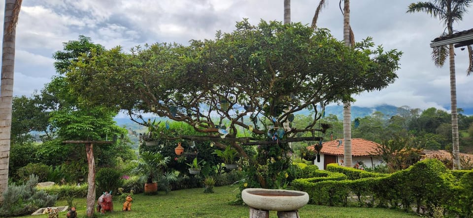 Garden view