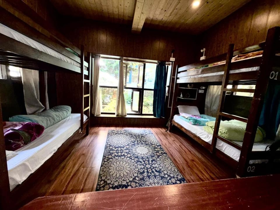 Bed, Photo of the whole room, Bedroom, bunk bed