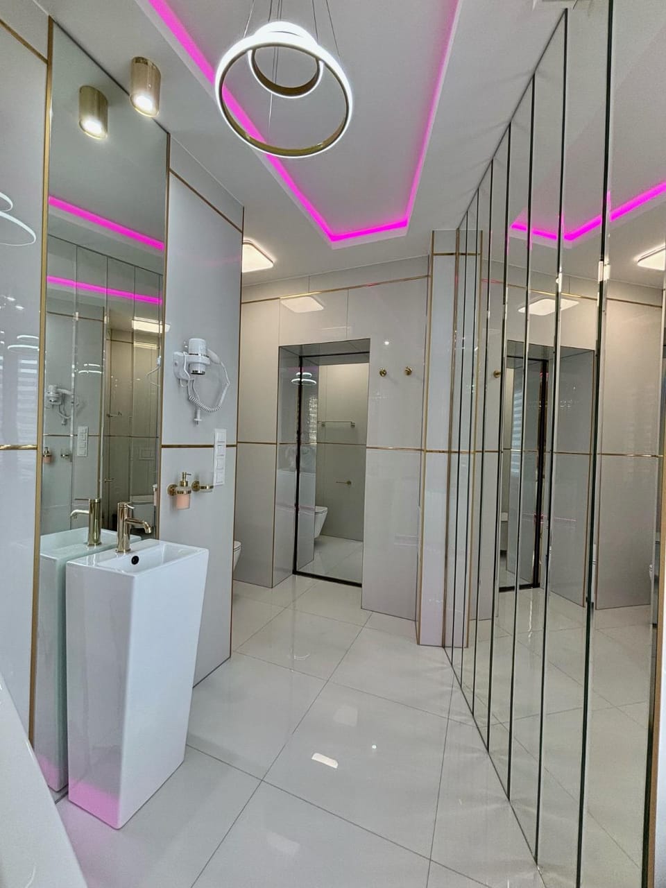 Toilet, Bathroom, hair dryier