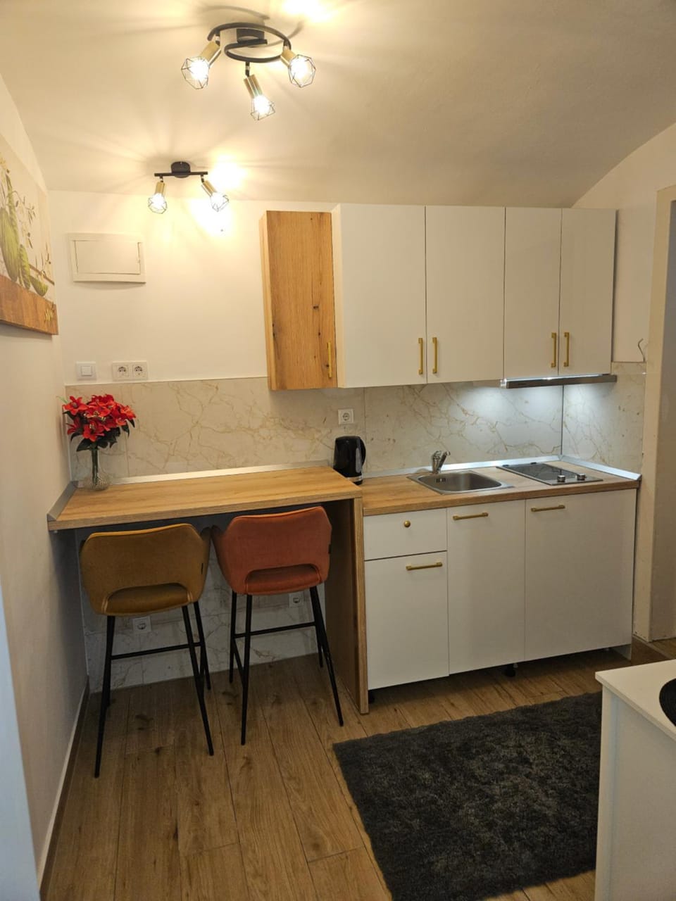 Apartment Maja - Strict center of Zagreb Apartment in City of Zagreb