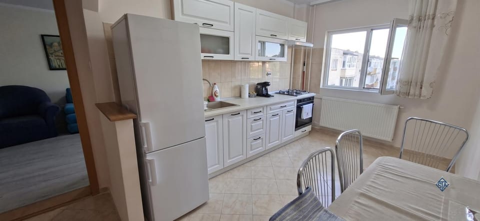 Riverside Apartment in Timisoara