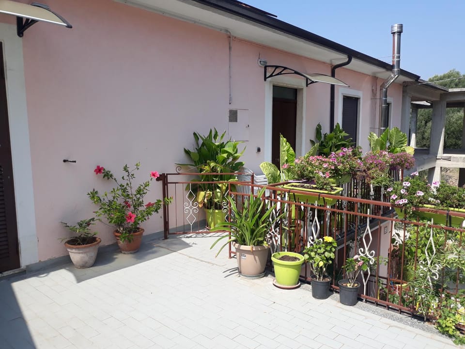 Amici dei bordeaux House in Ascea