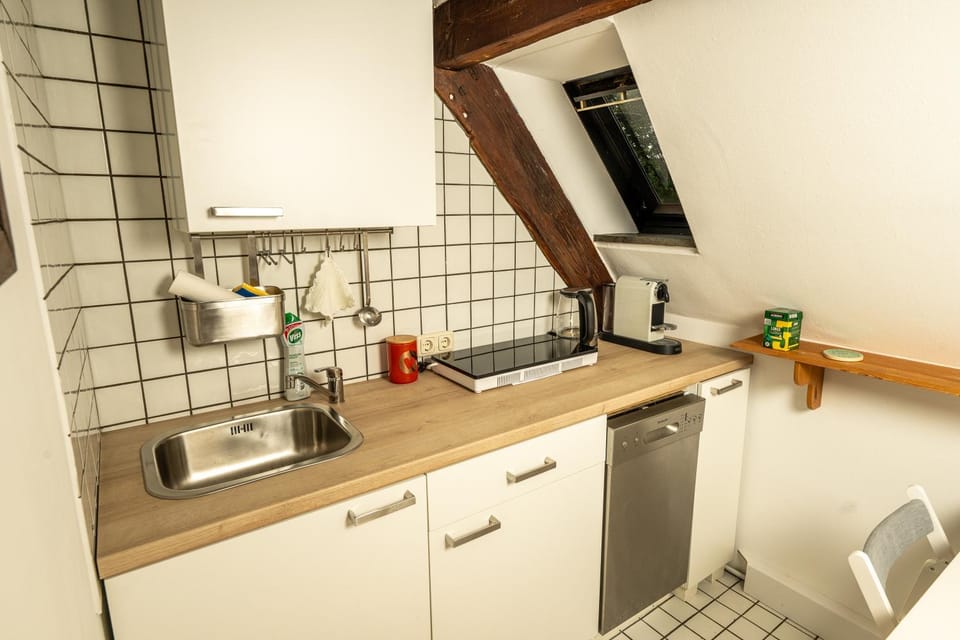Kitchen or kitchenette, dishwasher, stove