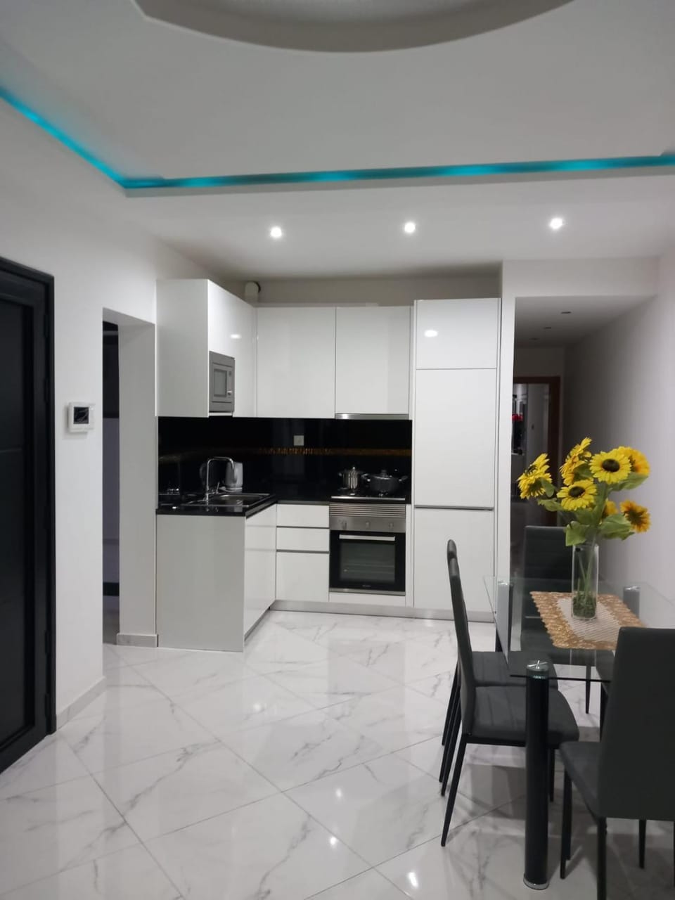 Kitchen or kitchenette, dishwasher, minibar, pet friendly, stove