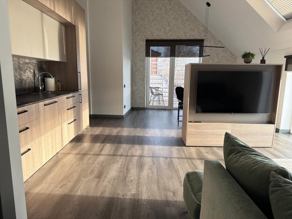 Nemunas River View Apartment Apartment in Lithuania