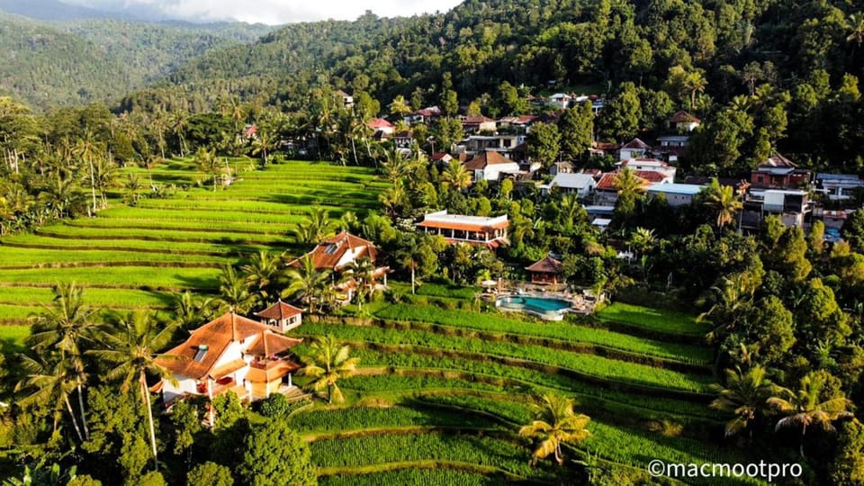 Property building, Restaurant/places to eat, Swimming pool