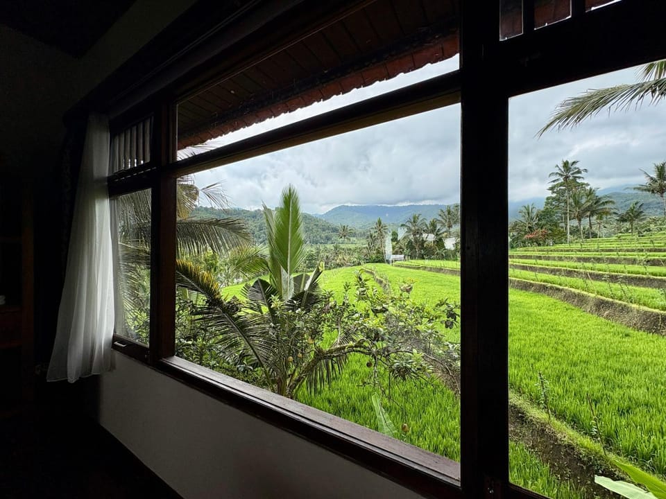 Natural landscape, Garden, Mountain view