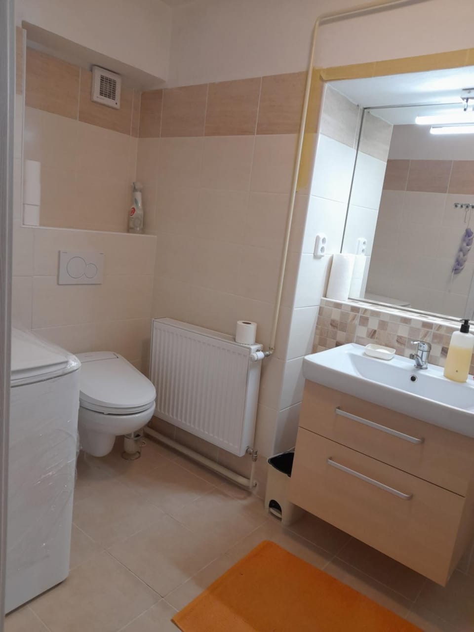 Toilet, Bathroom, bidet