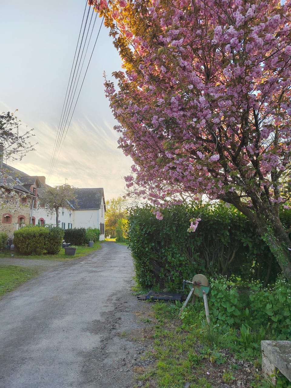 Facade/entrance, Spring, Garden