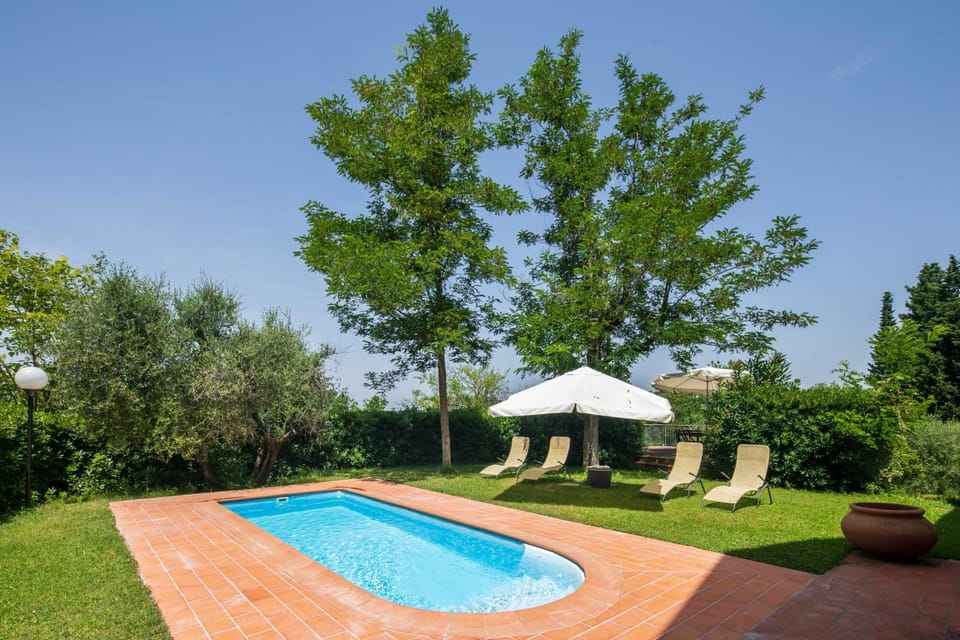 Natural landscape, Garden, Swimming pool, sunbed