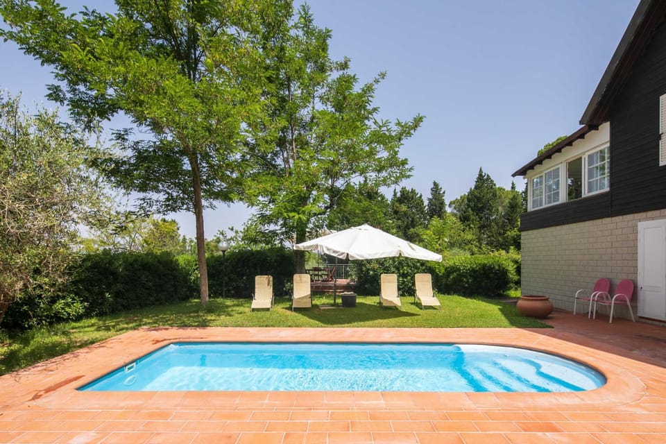 Property building, Natural landscape, Garden, Swimming pool, sunbed