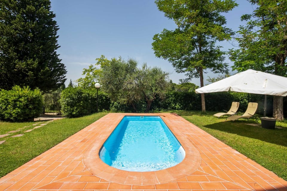 Natural landscape, Garden, Swimming pool, sunbed