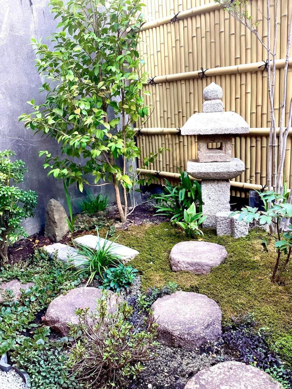 Garden, Garden, Garden view