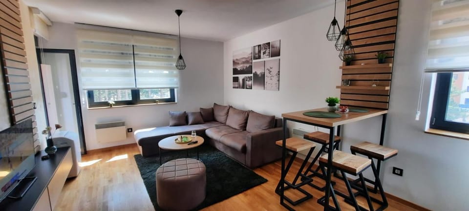 Beli Bor Deluxe Apartment in Zlatibor