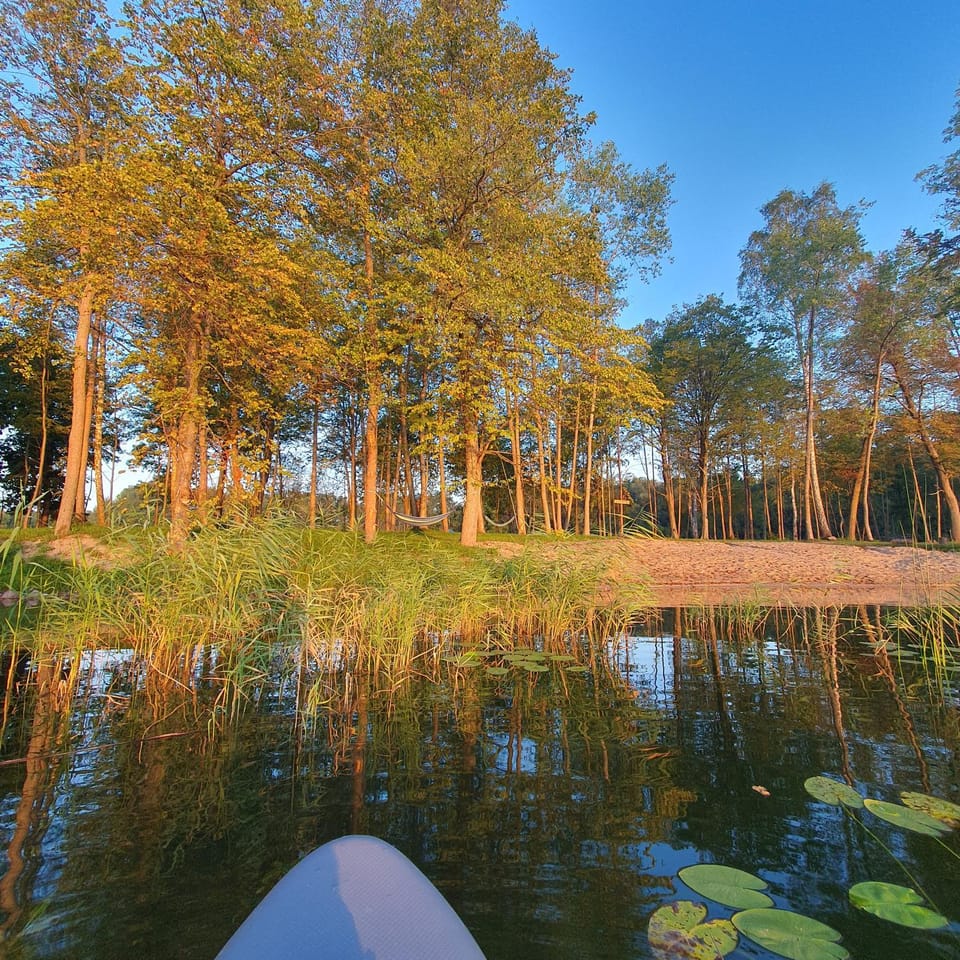 Lake view