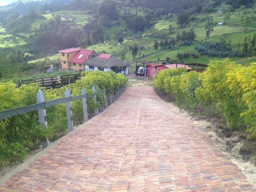 Property building, Mountain view