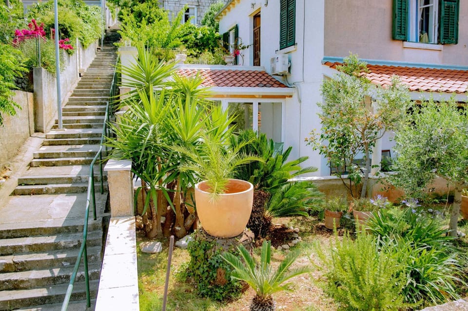 Property building, Day, Garden