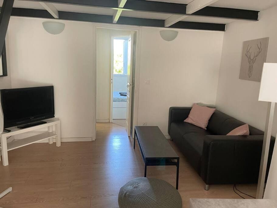 Appartement cosy au cœur de l’Écusson Apartment in Montpellier