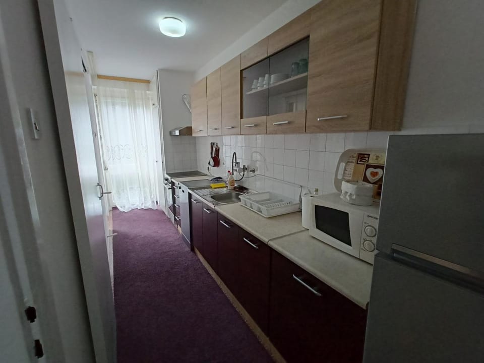 Kitchen or kitchenette, minibar, pet friendly, stove