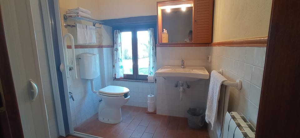 Bathroom, Facility for disabled guests