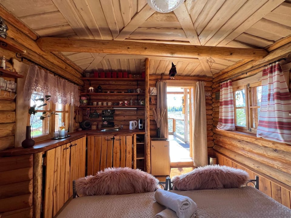 Kitchen or kitchenette, Bedroom