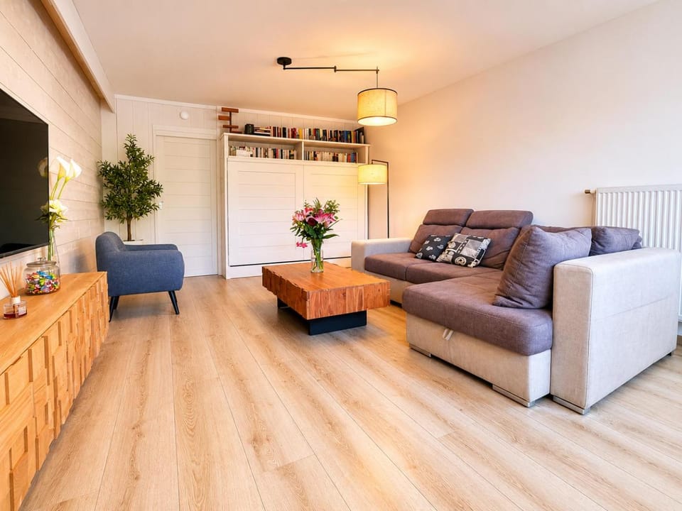 Communal lounge/ TV room, Library, Library, Living room, Seating area, furniture, furniture