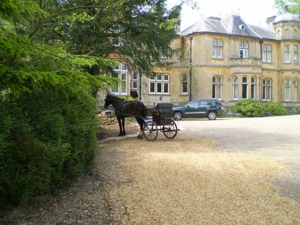 Property building, Day, Animals