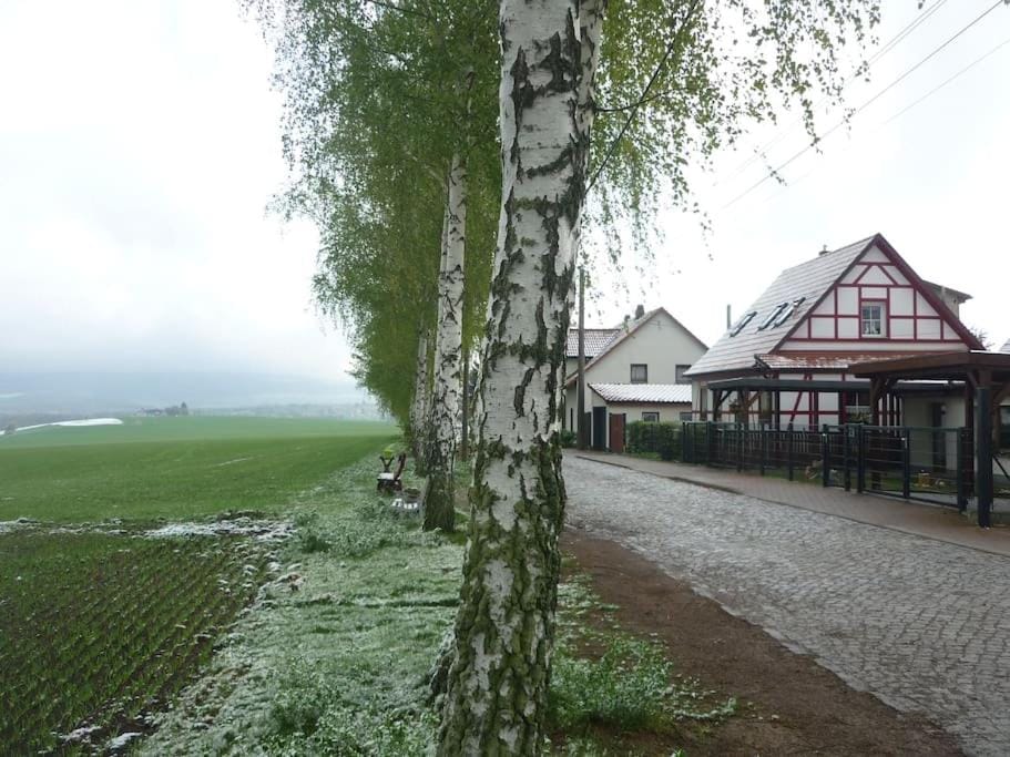 Spring, Natural landscape
