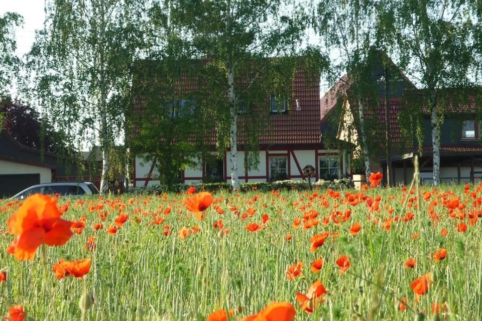 Property building, Natural landscape