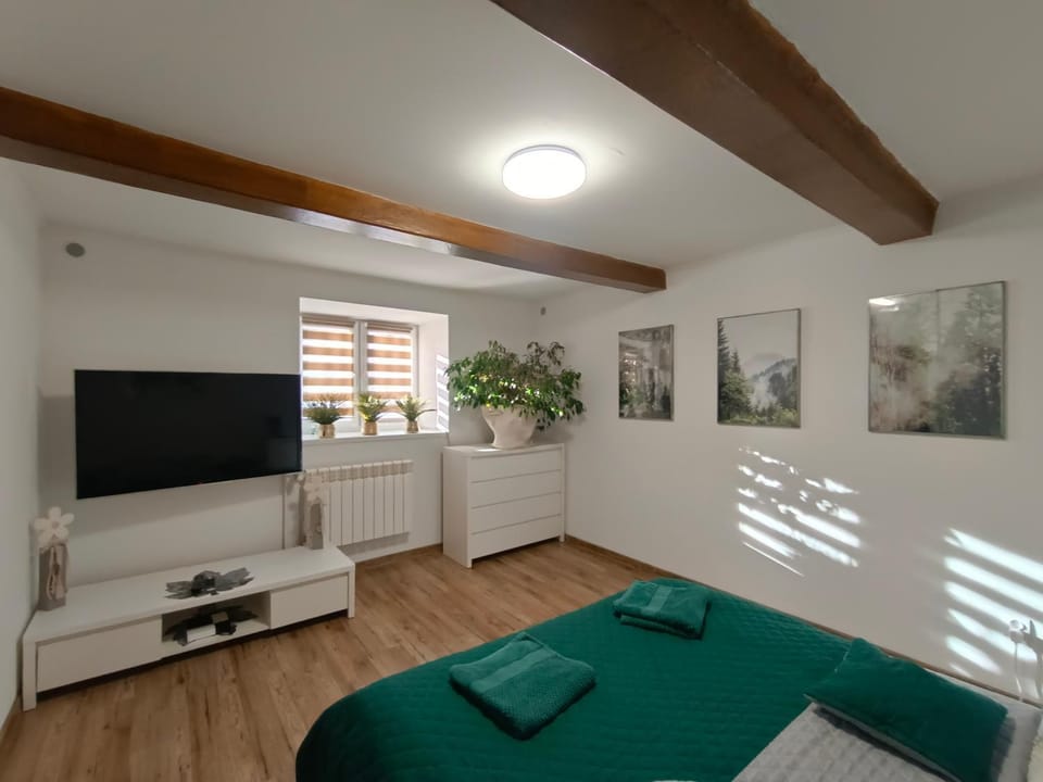 Apartament Zacisze Apartment in Lviv Oblast