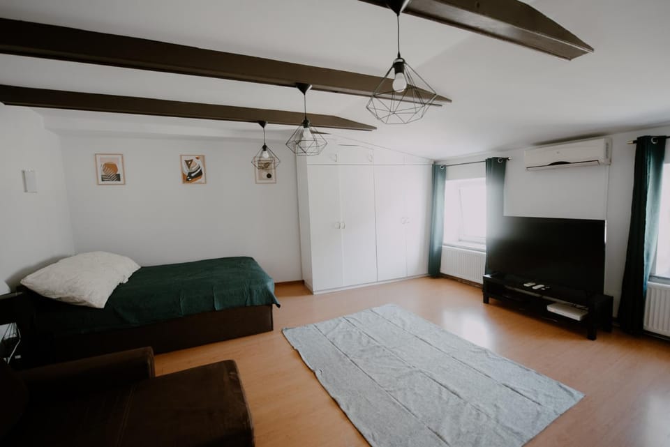 Bed, TV and multimedia, Living room, Photo of the whole room, Seating area, Bedroom, wardrobe, air conditioner