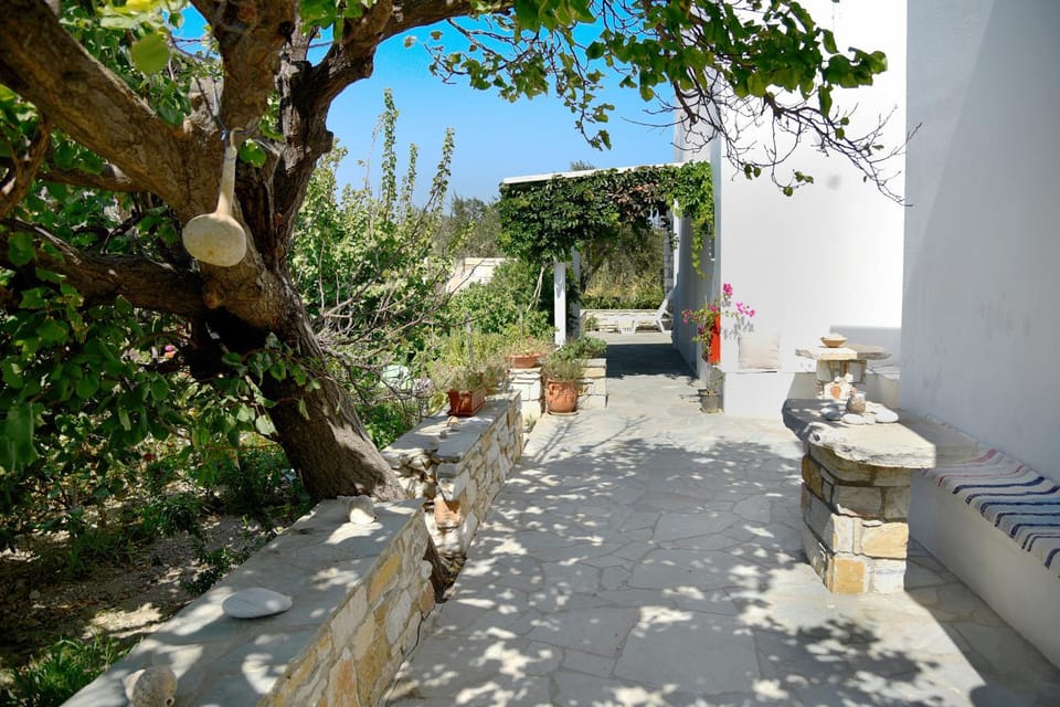 Patio, Garden