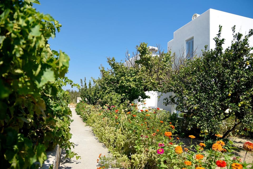 Property building, Garden