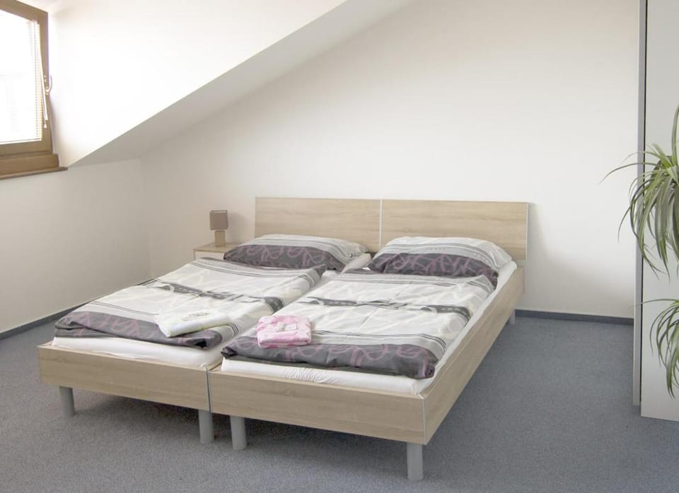 Penzion Tučňák Bed and Breakfast in Czechia