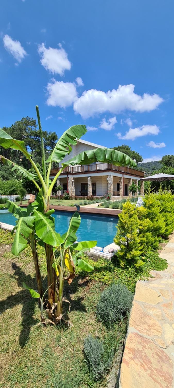 Property building, Garden, Garden view, Swimming pool, sunbed