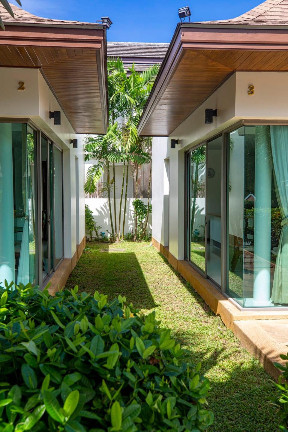 Garden view