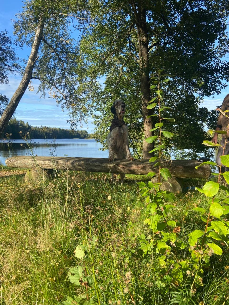 Natural landscape, River view