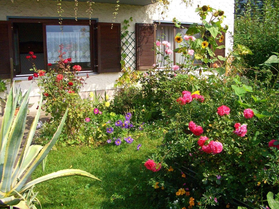 Garden, Garden view, Area and facilities