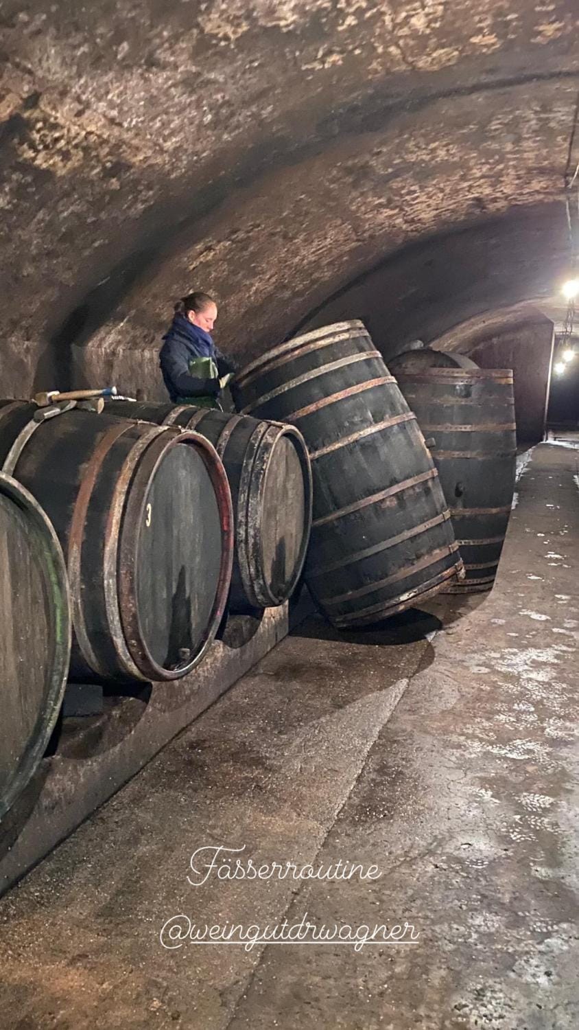 Ferienwohnungen Dr Wagner House in Trier-Saarburg