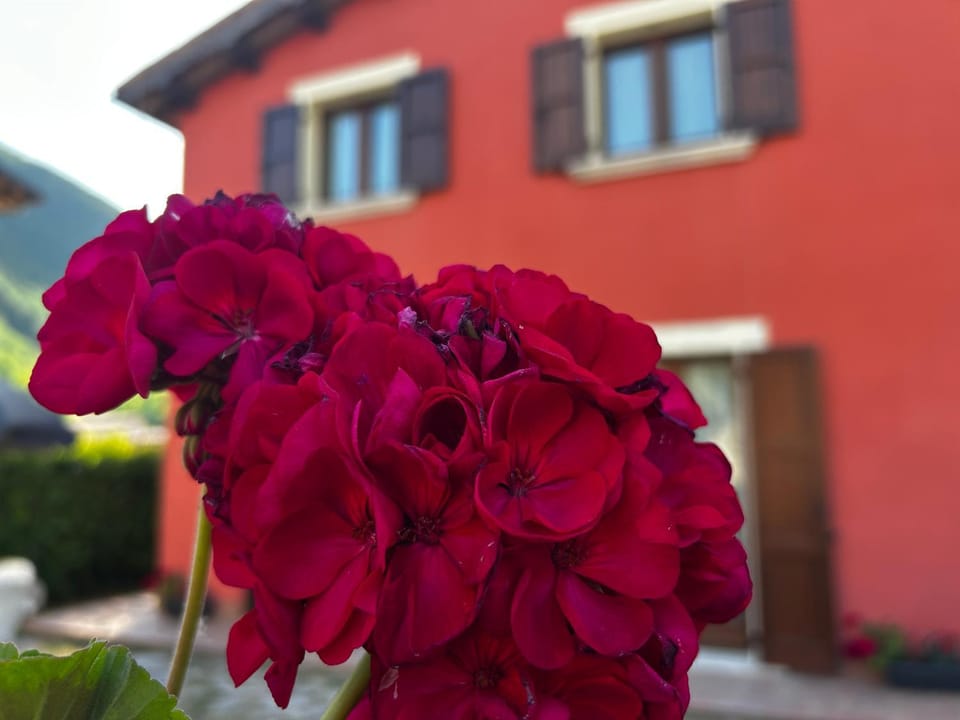 Il Casaletto Visso - Appartamenti Apartment in Marche
