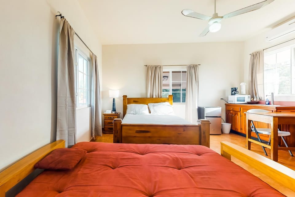 Isebei Guest House Gold Standard Certified Apartment in Hopkins