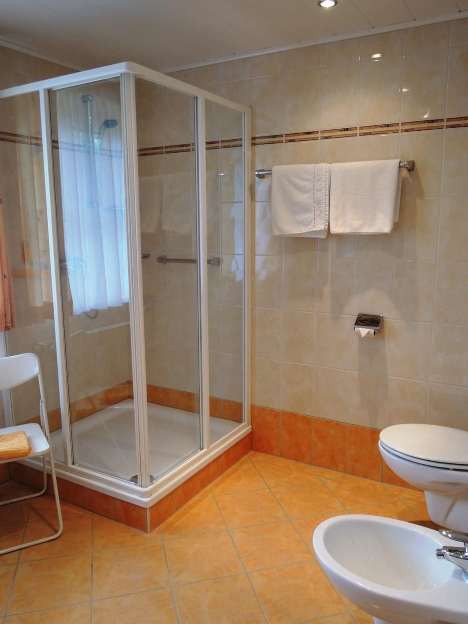 Shower, Toilet, Bathroom, Decorative detail