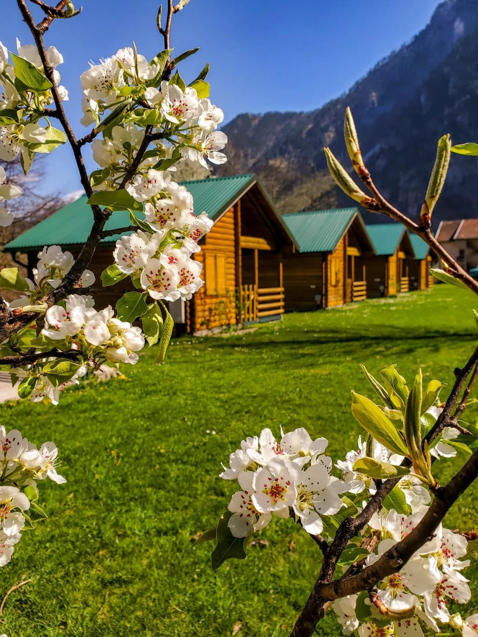 Eko Oaza-Tear of Europe Campground/ 
RV Resort in Montenegro