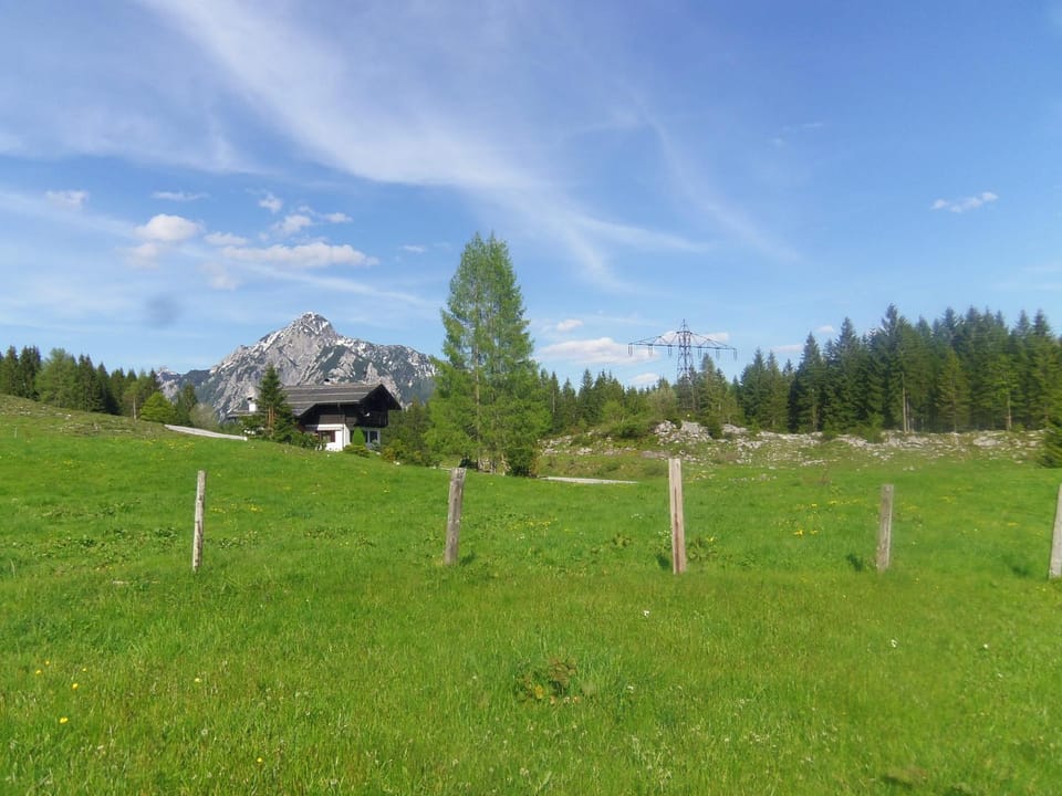 Natural landscape, Summer