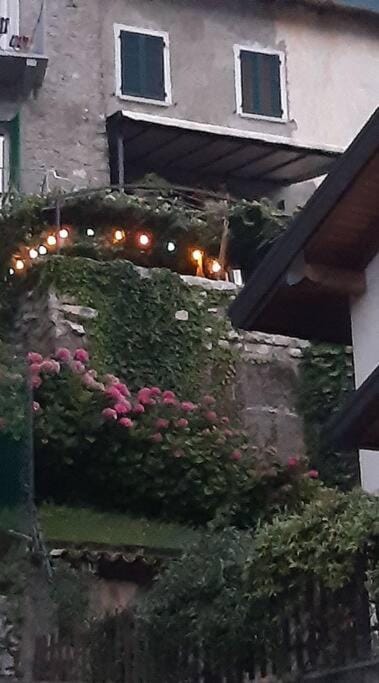 Garden, Balcony/Terrace, Garden view