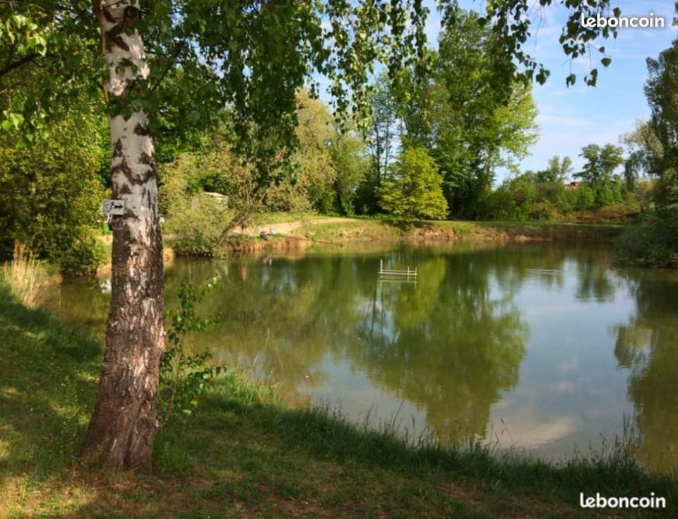La pépite Rose d'Europapark Campground/ 
RV Resort in Ortenau