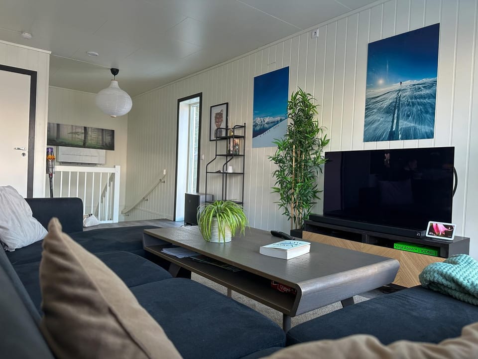 TV and multimedia, Living room