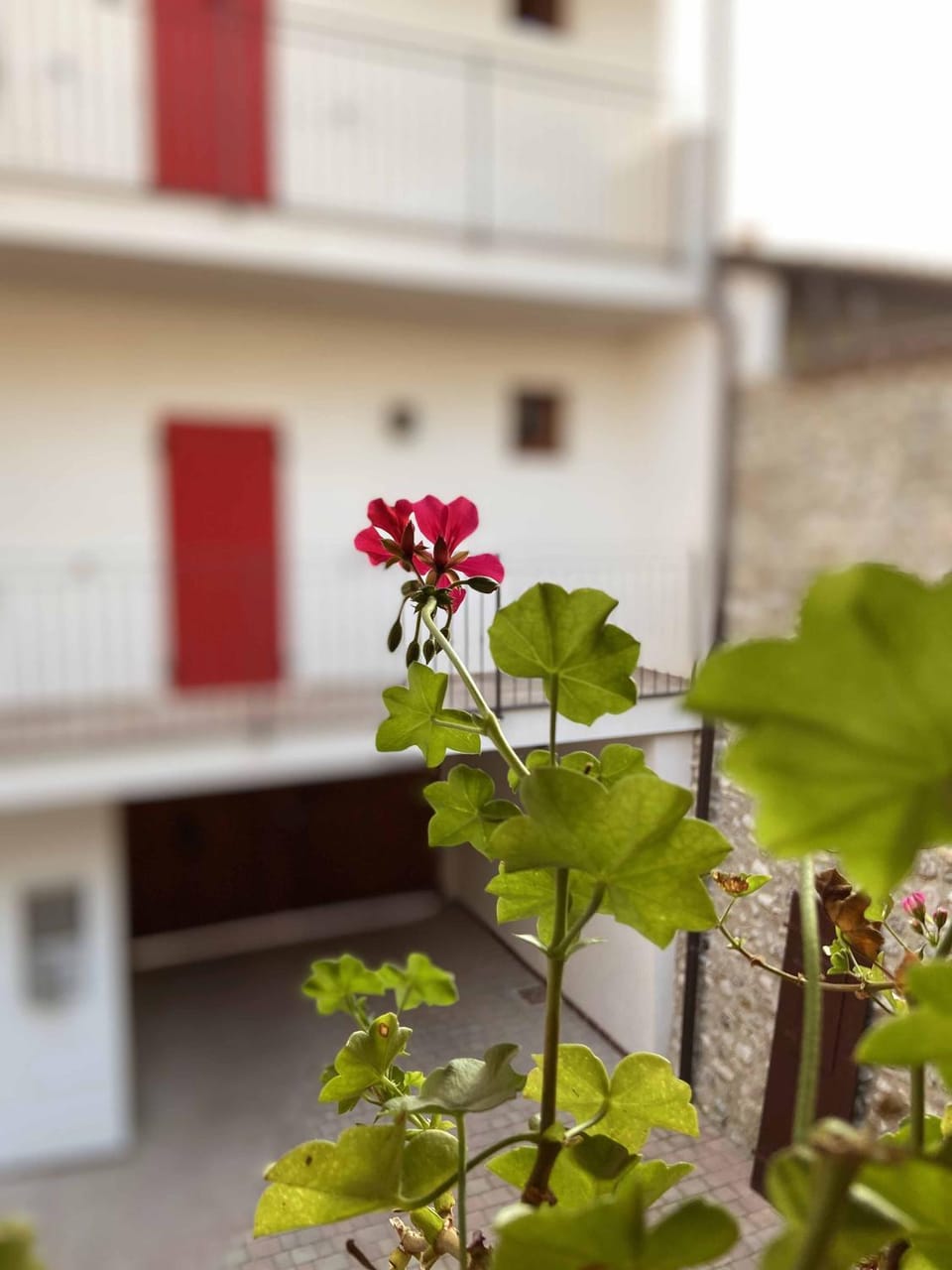 Day, Inner courtyard view, Internal: Not applicable to any particular room