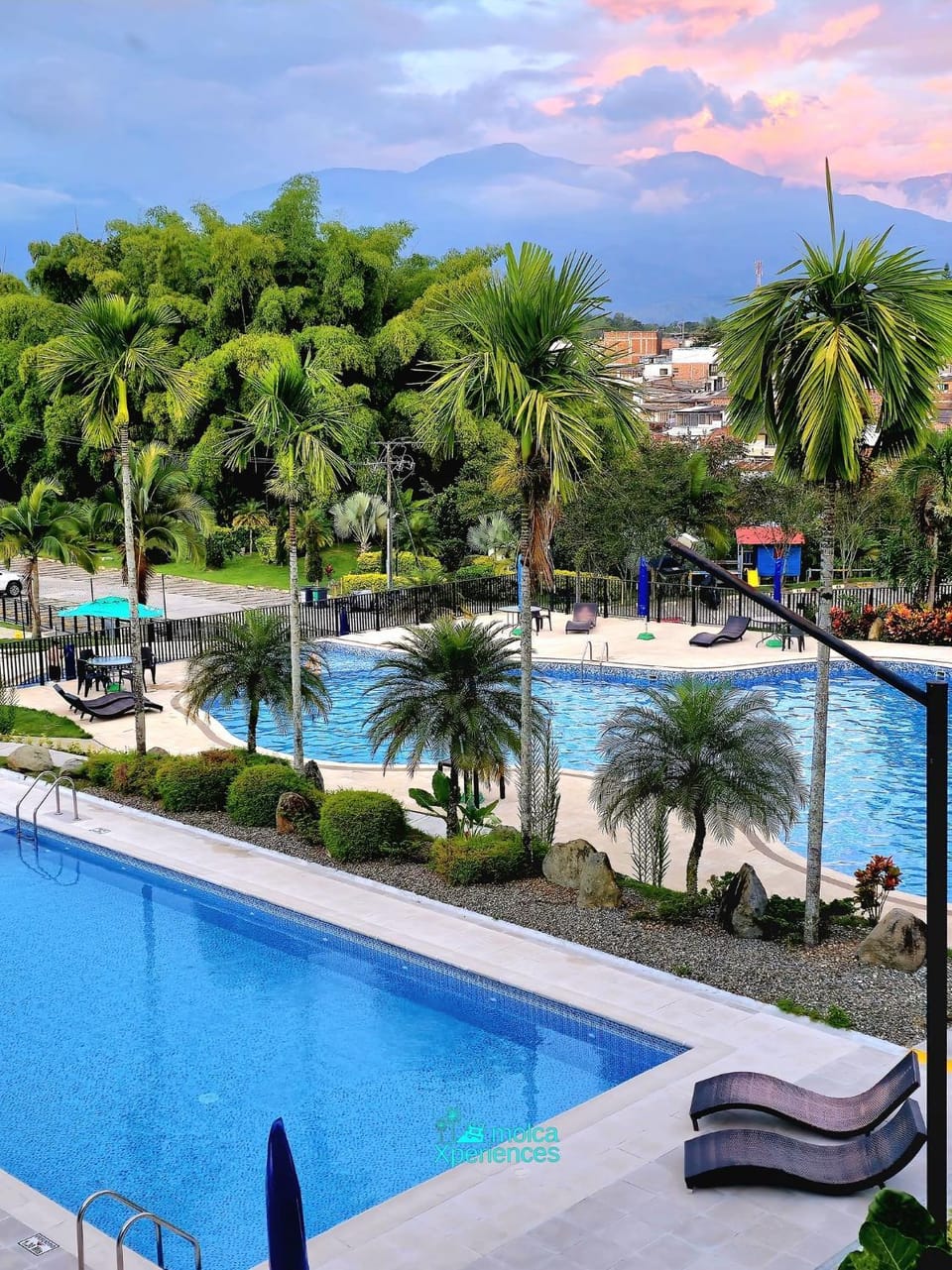 Day, Pool view, Swimming pool