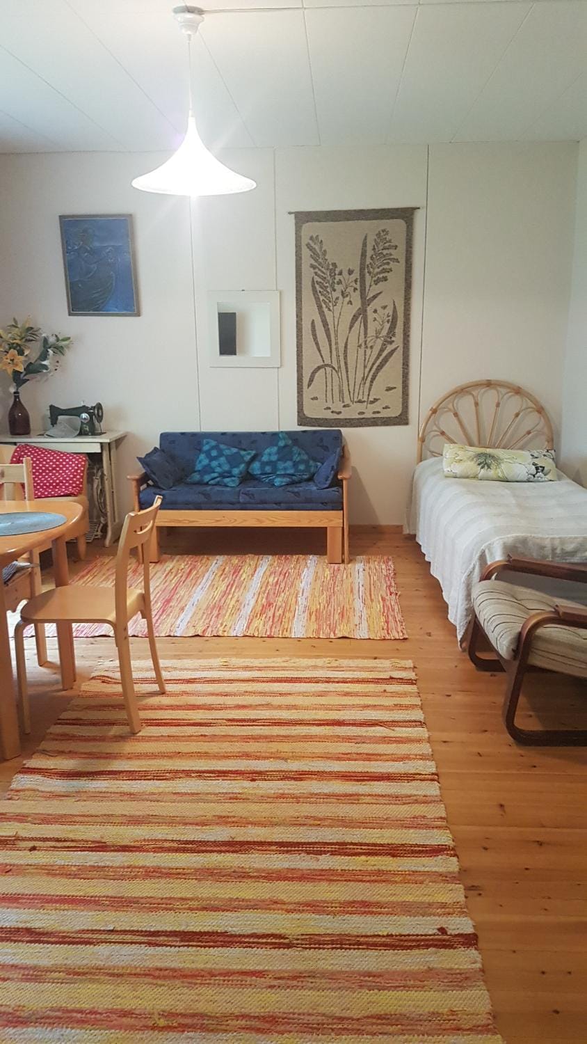 Bed, TV and multimedia, Living room, Photo of the whole room, Seating area, Dining area, Bedroom, hair dresser